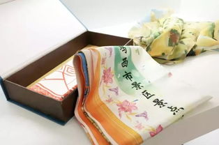 黑龙江鸡西丝巾地图亮相联合国会展，文化产品获国际赞誉